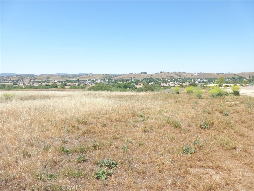 13105 River Bluffs (Lot 4) Lane