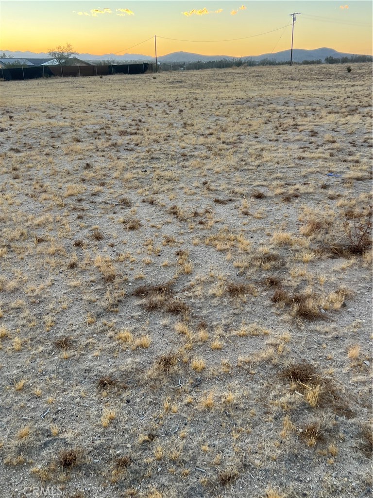 MLS #DW25056872 image #1