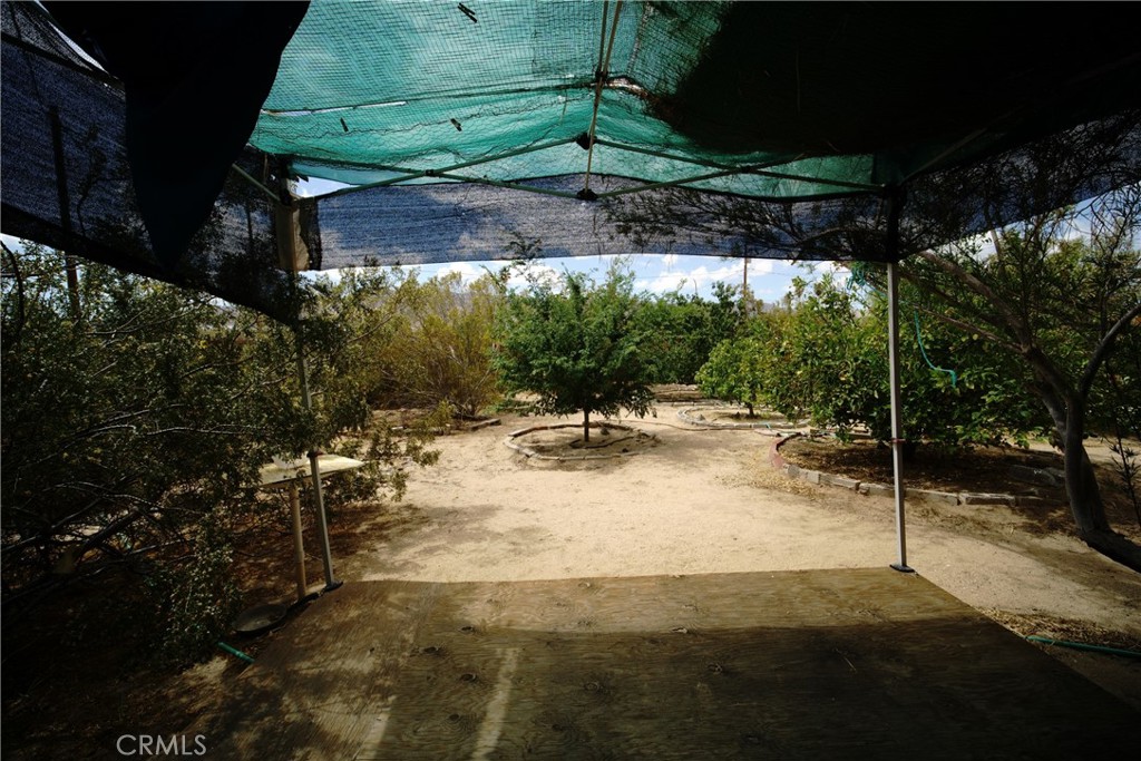 MLS #JT25086072 img 28