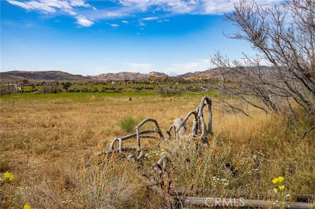 Detail Gallery Image 5 of 24 For 52550 Geronimo Trl, Pioneertown,  CA 92268 - – Beds | – Baths