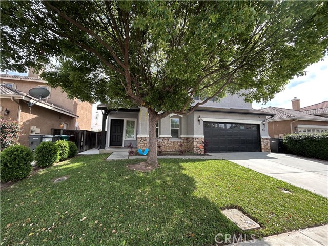 Image 3 of 32 For 22071 Goldenchain