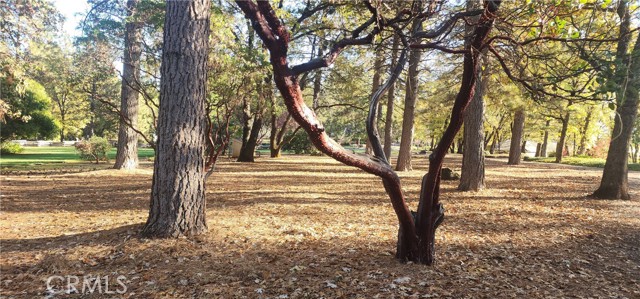 Detail Gallery Image 7 of 13 For 14900 Woodland Park, Forest Ranch,  CA 95942 - – Beds | – Baths