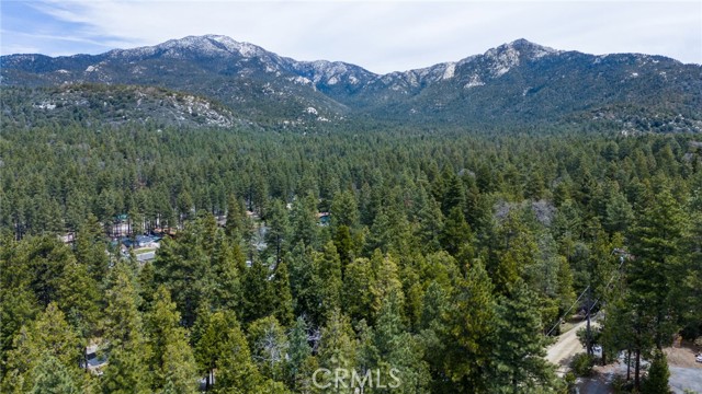 Detail Gallery Image 2 of 36 For 53045 Marian View Dr, Idyllwild,  CA 92549 - 3 Beds | 1/1 Baths