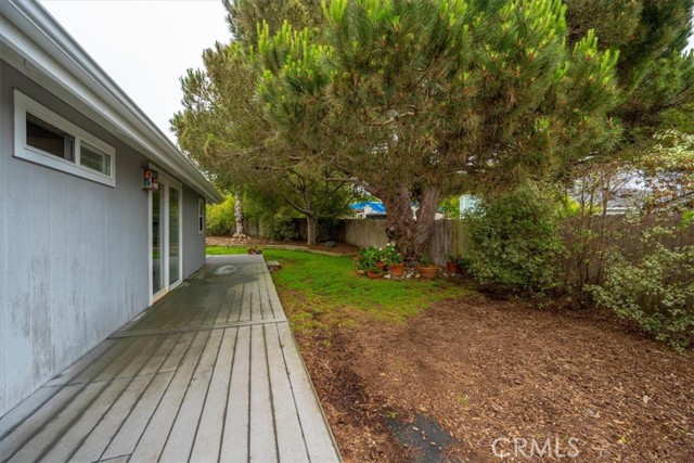 Plenty of privacy in the yard area.