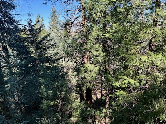 Detail Gallery Image 11 of 39 For 23992 Lakeview Dr., Crestline,  CA 92325 - 3 Beds | 2 Baths