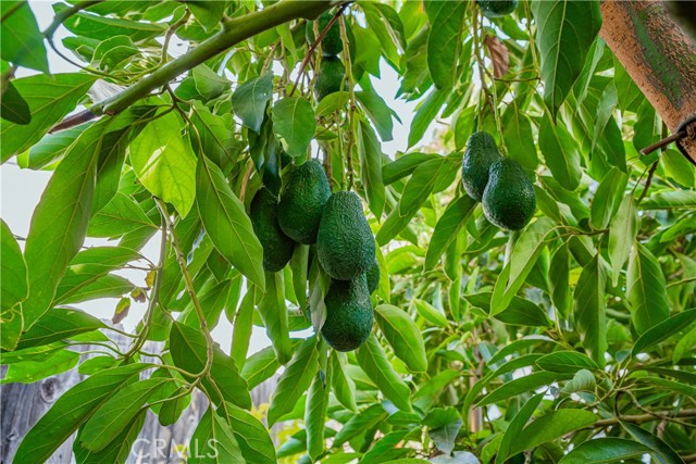 Detail Gallery Image 39 of 74 For 6580 Lake, Riverside,  CA 92503 - 3 Beds | 2 Baths