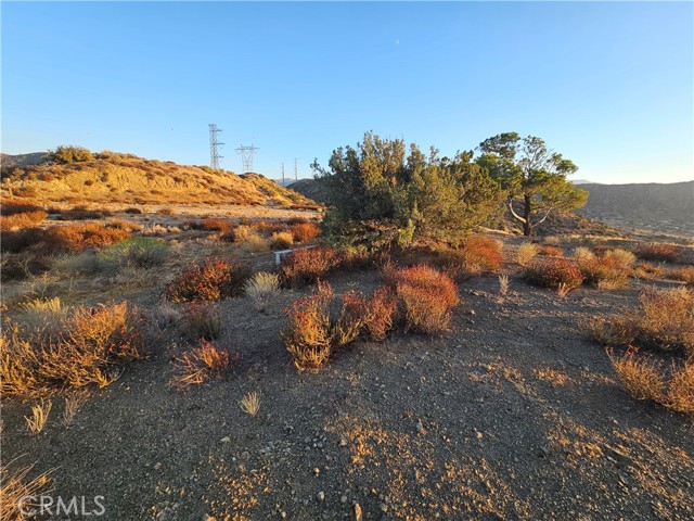 Detail Gallery Image 2 of 23 For 0 Angeles Forest, Palmdale,  CA 93550 - – Beds | – Baths