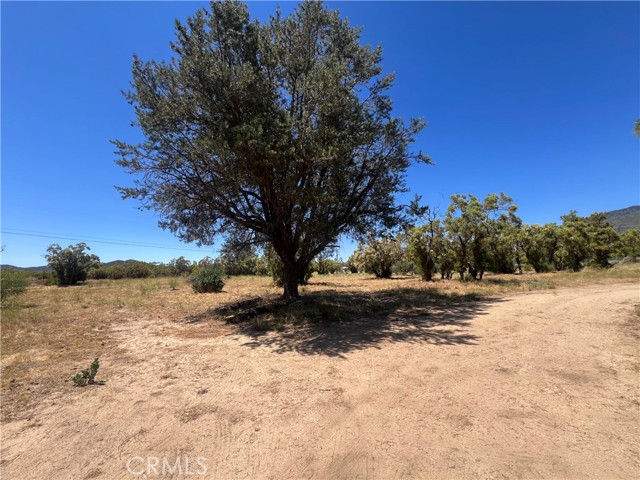 Detail Gallery Image 40 of 51 For 54279 Bautista Canyond Rd, Anza,  CA 92539 - 3 Beds | 2/1 Baths