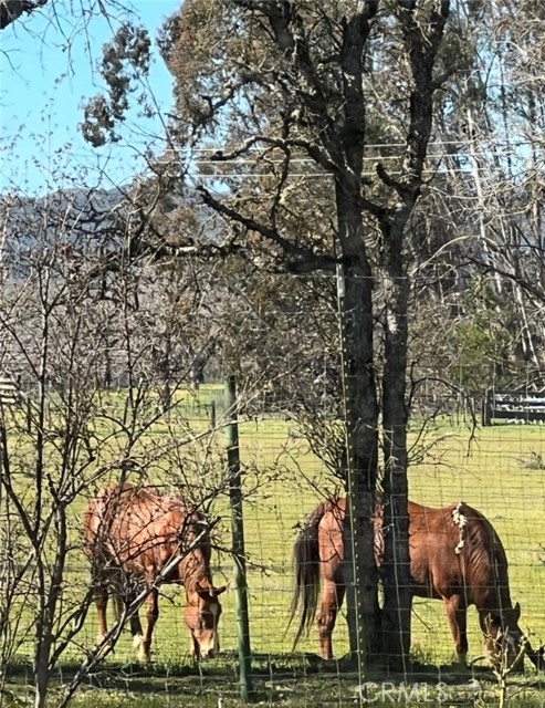Detail Gallery Image 72 of 74 For 1001 Louis Way, Lakeport,  CA 95453 - 3 Beds | 2/1 Baths