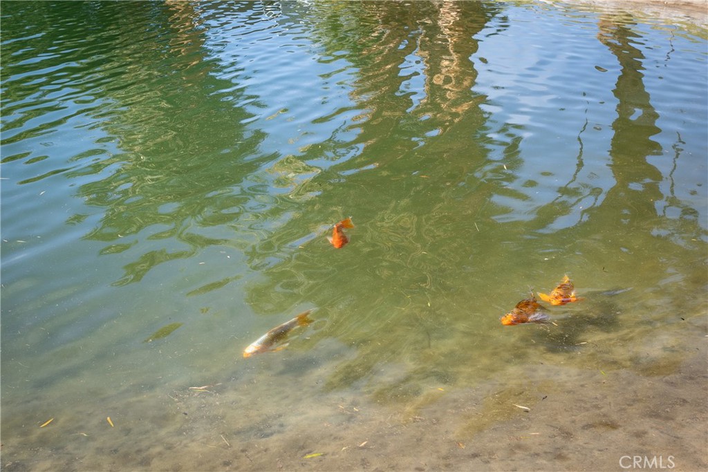 MLS #PW25280732 image #34