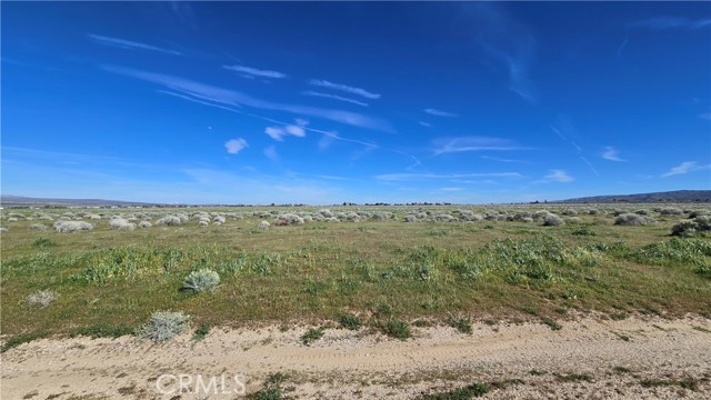 Detail Gallery Image 17 of 36 For 0 Vicinity Ave B12 & 265th St W, –,  CA 93536 - – Beds | – Baths