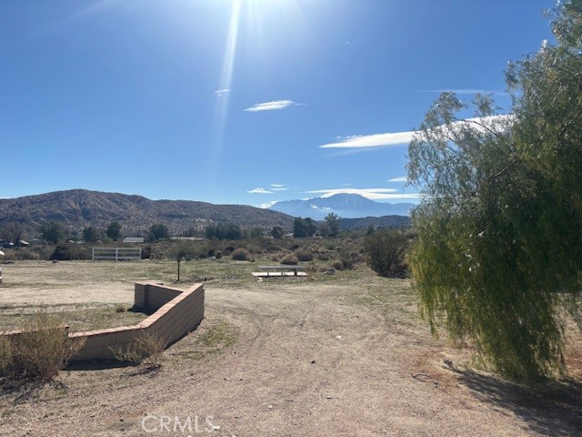 MLS #JT25263914 image #3