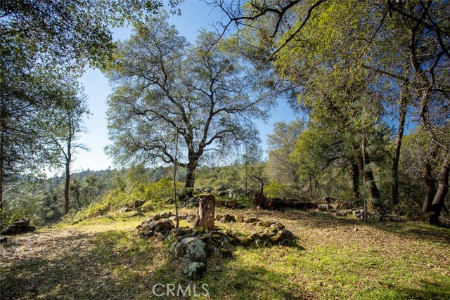 Detail Gallery Image 38 of 74 For 1718 Robinson Mill Rd, Bangor,  CA 95914 - 3 Beds | 2/1 Baths