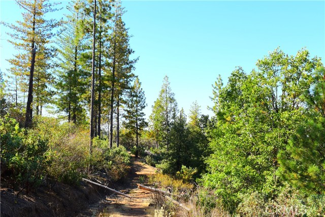 Detail Gallery Image 38 of 48 For 0 Incense Cedar Trl, Groveland,  CA 95321 - – Beds | – Baths