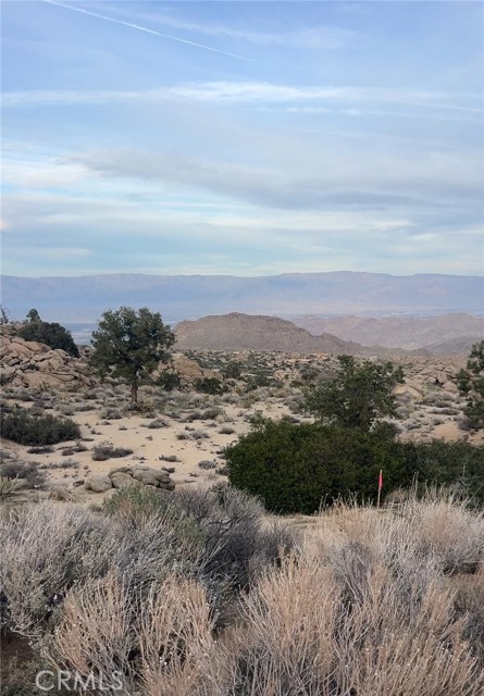 Front Image Thumbnail for CRIV26043006