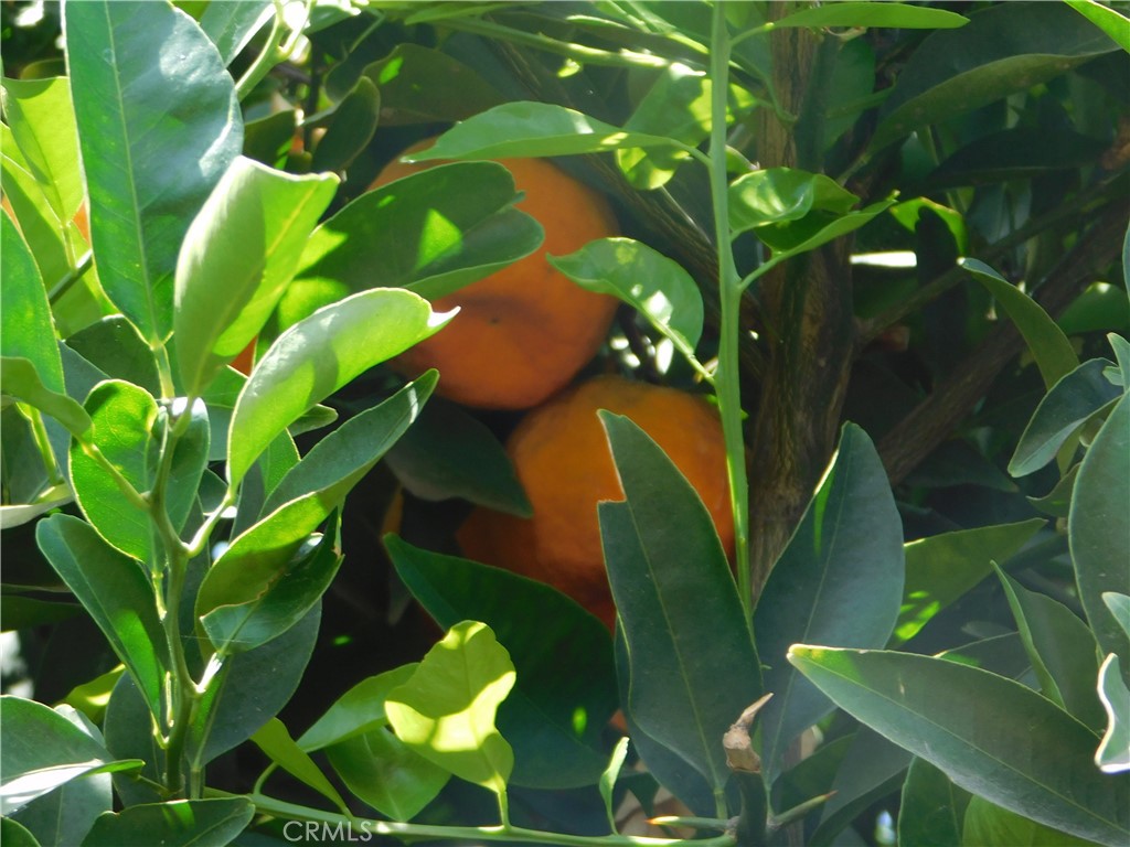 MLS #IG25139211 image #30