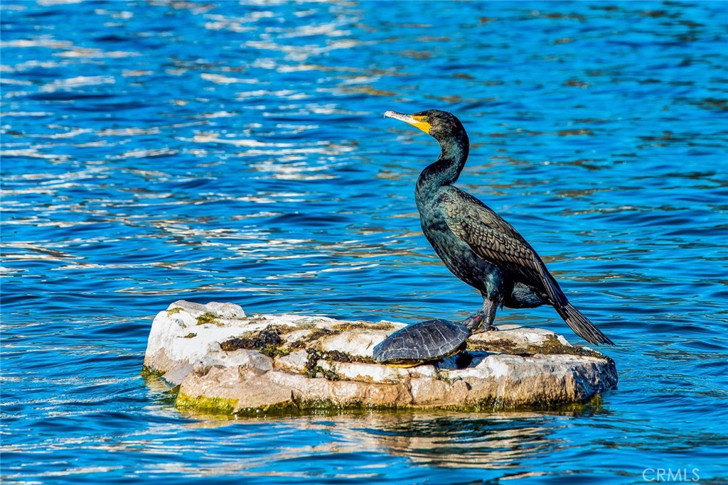 https://media.crmls.org/medias/421eaa1f-2d1b-45de-8069-2926cd6133b4.jpg?preset=X-Large
