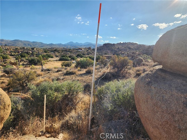 Detail Gallery Image 9 of 19 For 7 Ac Oak Dr, Pioneertown,  CA 92268 - – Beds | – Baths