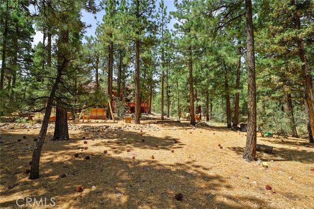 1947 Shady Lane, Big Bear City CA: https://media.crmls.org/medias/4223cae1-dfe8-4e6b-a283-da7ec597d336.jpg