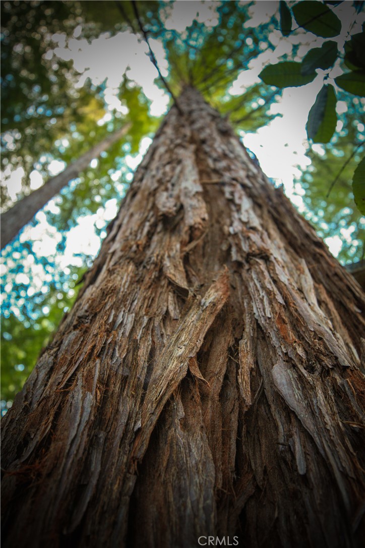 MLS #OC25221127 image #3