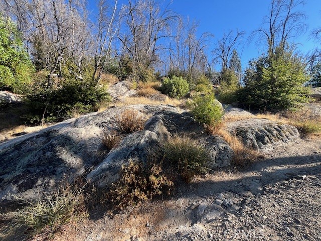 80 Oak Drive, Berry Creek CA: https://media.crmls.org/medias/4225b5d6-f76e-49f7-a75d-b37f35b15b66.jpg