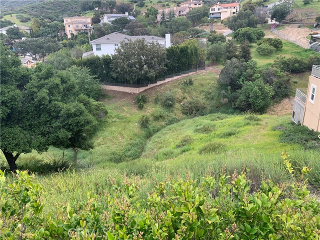 462 Kathleen, Newbury Park, CA, 91320 462 Kathleen, Newbury Park, CA, 91320