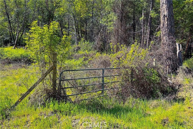 Detail Gallery Image 17 of 35 For 1271 Lake, –,  CA 96048 - – Beds | – Baths