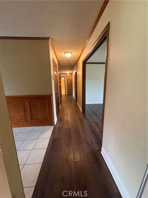 Image 12 of 32 For 31090 Orange