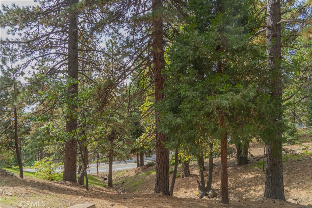 0 Circle View Drive, Running Springs, CA 92382