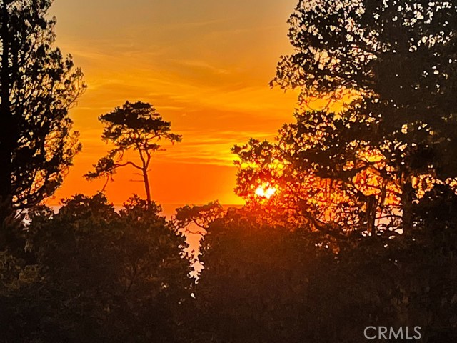 Detail Gallery Image 53 of 55 For 2298 Tipton St, Cambria,  CA 93428 - 2 Beds | 2/1 Baths