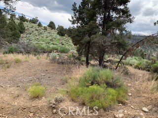 0 Ponderosa, Big Bear City, California 92314, ,Land,For Sale,0 Ponderosa,CROC20150732