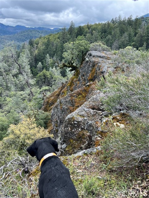 Detail Gallery Image 16 of 30 For 14903 Western Mine Rd, Middletown,  CA 95461 - – Beds | – Baths