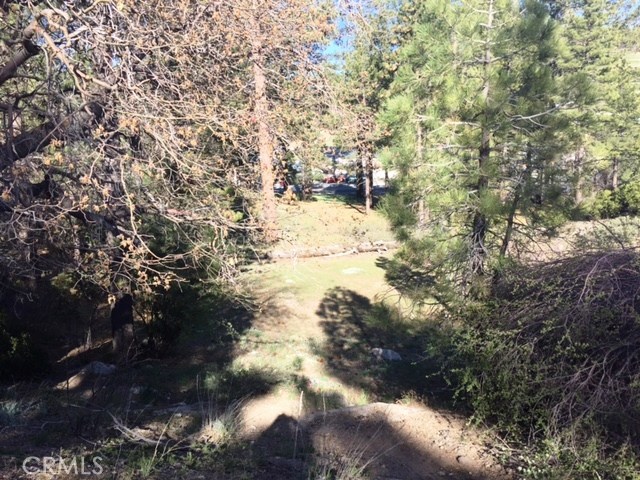 0 Talmadge, Big Bear City, California 92315, ,Land,For Sale,0 Talmadge,CREV19107916