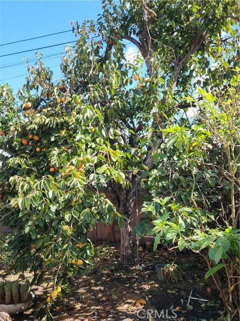 MLS #GD25238424 image #16