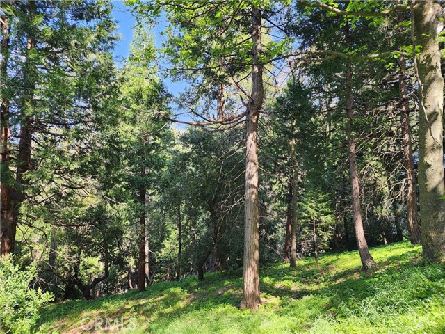 Detail Gallery Image 11 of 21 For 811 Deer Trl, Crestline,  CA 92325 - – Beds | – Baths