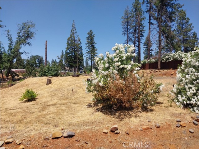 1667 Wagstaff Road, Paradise CA: https://media.crmls.org/medias/4242695f-0ce3-485d-bc16-73b946fede1d.jpg