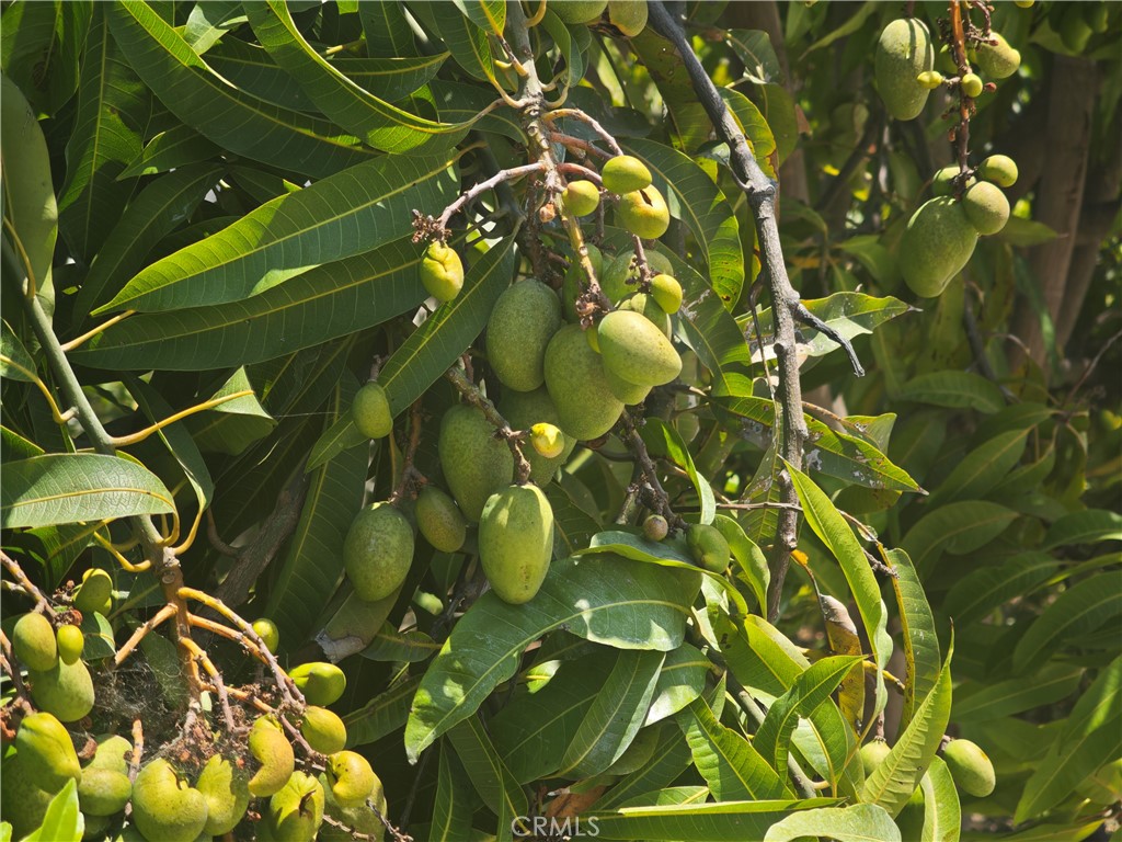 https://media.crmls.org/medias/42441d5b-4795-4f39-b943-1430be38ad18.jpg?preset=X-Large