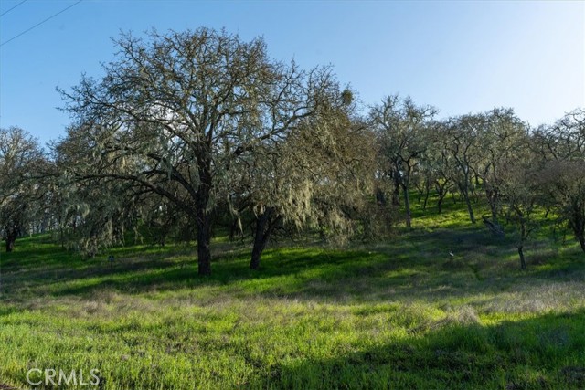 Detail Gallery Image 19 of 29 For 0 Spring Creek Way, Templeton,  CA 93465 - – Beds | – Baths