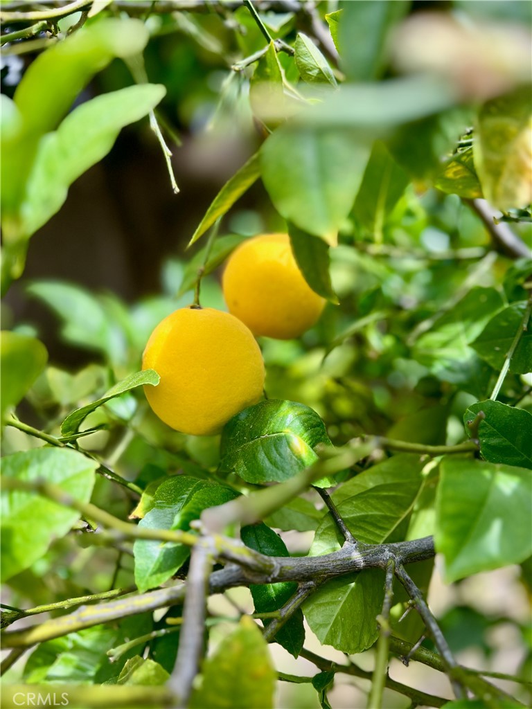 https://media.crmls.org/medias/42496390-57b8-406d-945c-f1c43dfc738b.jpg?preset=X-Large