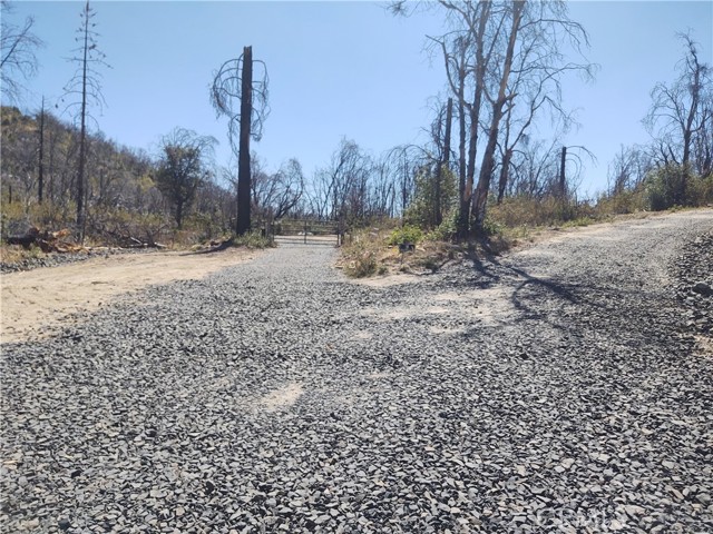 363 Raccoon Road, Berry Creek, California 95916, ,Land,For Sale,363 Raccoon Road,CROR24029245