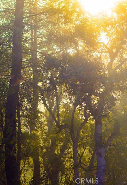 https://media.crmls.org/medias/424d576c-cad7-431b-a67b-ddc7abdd6ca4.jpg?preset=X-Large