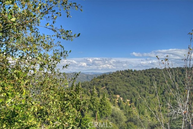 729 Minty Pine Drive, Cedarpines Park, CA 92322