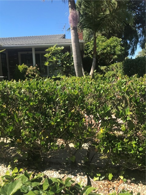 Detail Gallery Image 3 of 35 For 26907 Indian Peak Rd, Rancho Palos Verdes,  CA 90275 - 3 Beds | 2 Baths