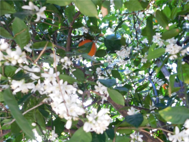 Detail Gallery Image 46 of 56 For 2200 W Wilson #82,  Banning,  CA 92220 - 3 Beds | 2 Baths