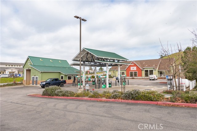 4978 Pretty Doe Lane, Paso Robles, California 93446, ,Land,For Sale,4978 Pretty Doe Lane,CRNS24201168