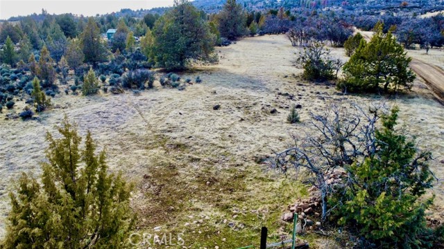 Detail Gallery Image 9 of 24 For 0 Black Mountain Rd, Hornbrook,  CA 96044 - – Beds | – Baths