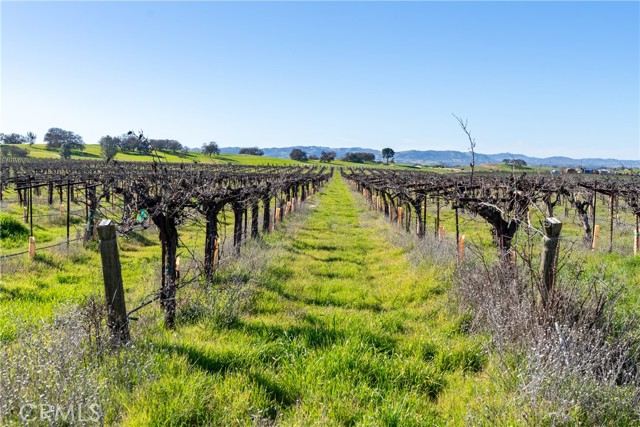 Detail Gallery Image 69 of 69 For 4774 Mill Road, Paso Robles,  CA 93446 - 7 Beds | 4/1 Baths