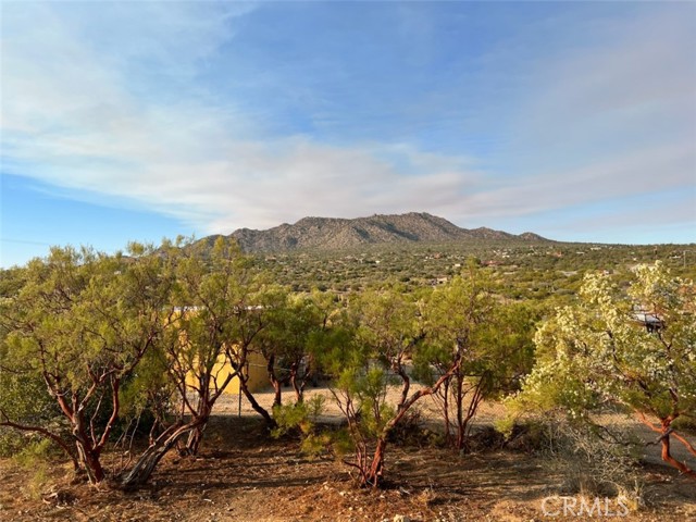 Detail Gallery Image 34 of 59 For 68080 Glacier Pass, Mountain Center,  CA 92561 - 1 Beds | 1 Baths