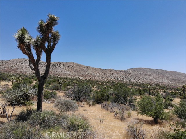 0 Yucca Trail, Yucca Valley, California 92284, ,Land,For Sale,0 Yucca Trail,CRJT23101215