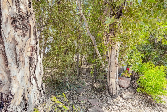 Detail Gallery Image 60 of 61 For 28200 Patterson Ave, Winchester,  CA 92596 - 3 Beds | 2 Baths